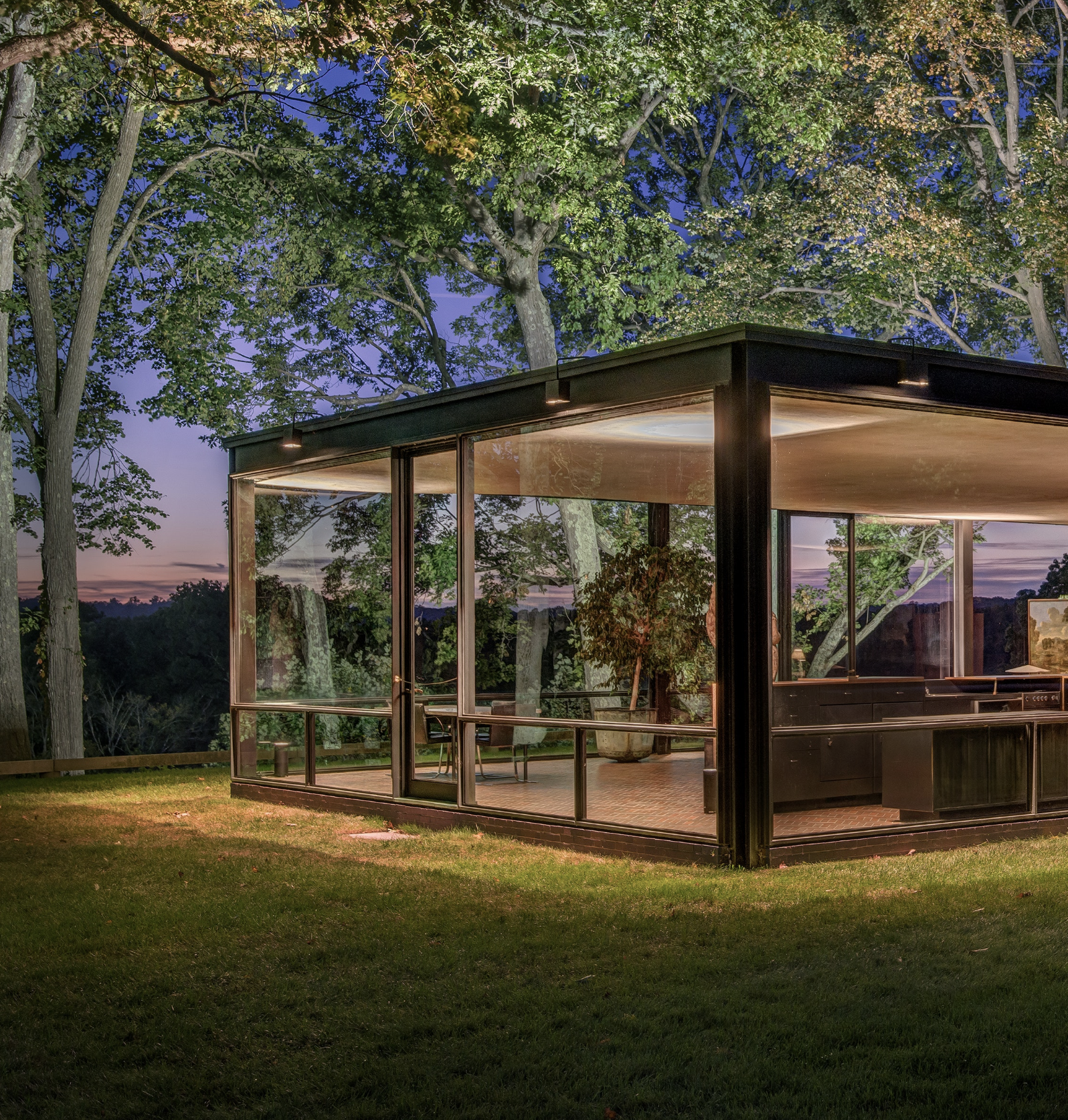 Mature trees on a Connecticut property at dusk